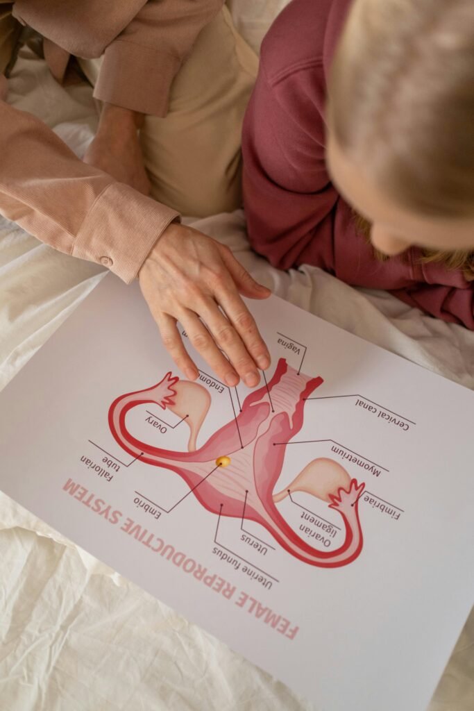 Female reproductive system under oxidative stress
