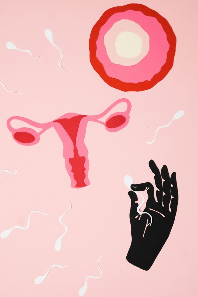 Reclaiming cellular fertility