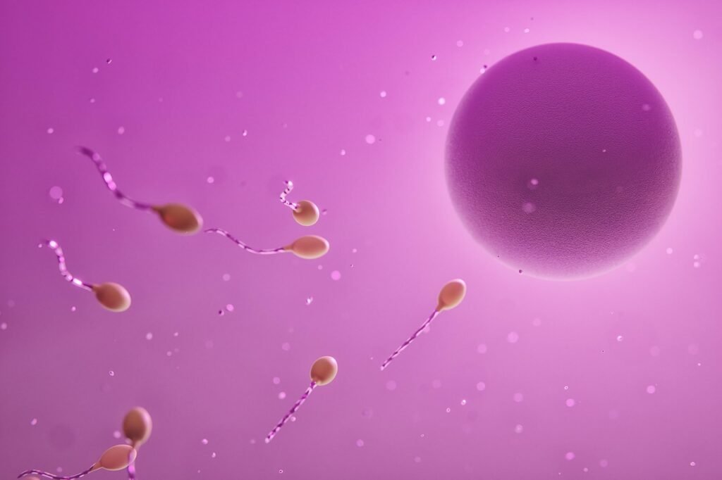 healthy ovum and sperm