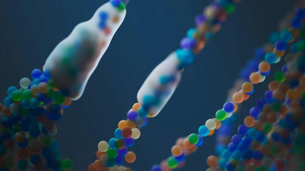cellular view of dna
