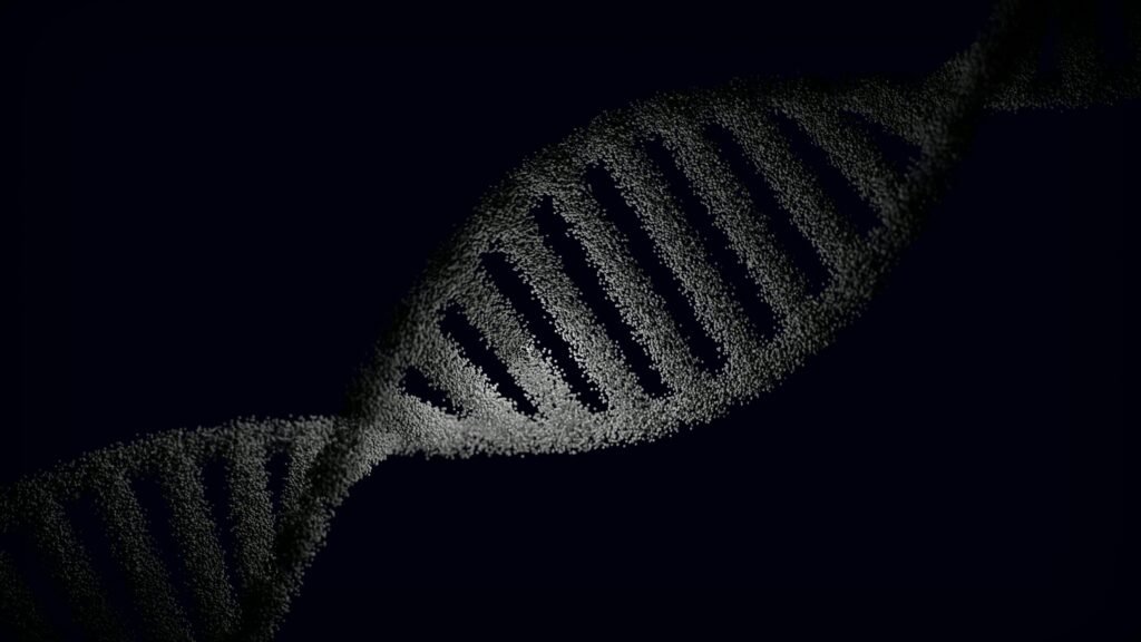 dna strand repair autophagy