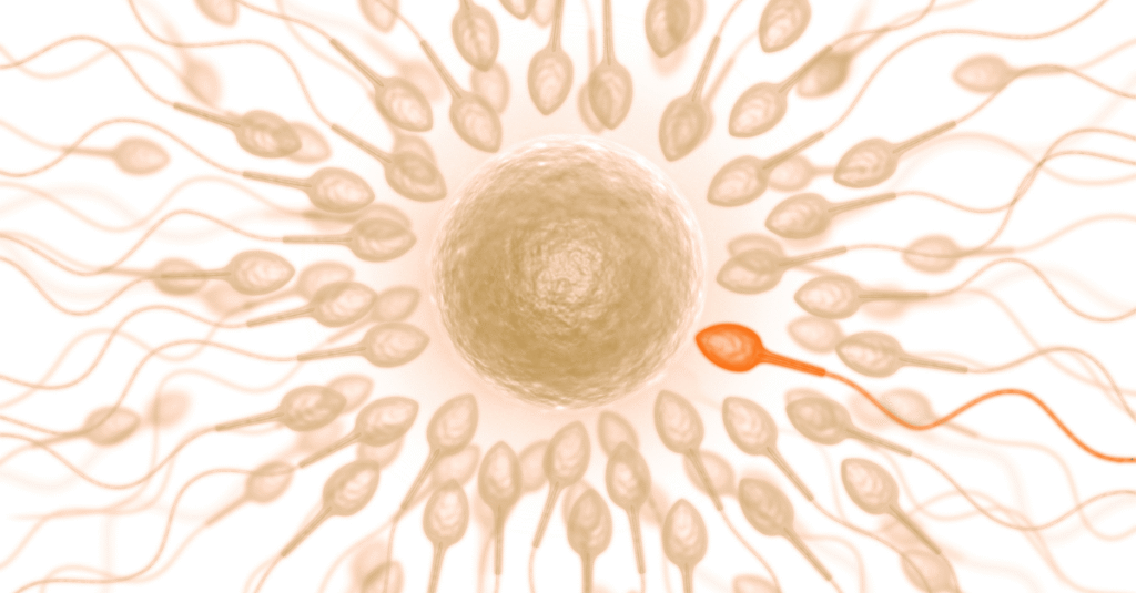 damaged sperm