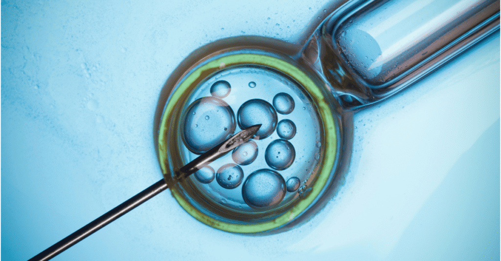 IVF conception fertility