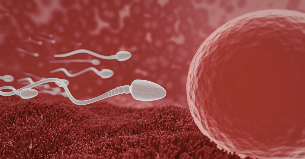 optimized sperm and egg preconception