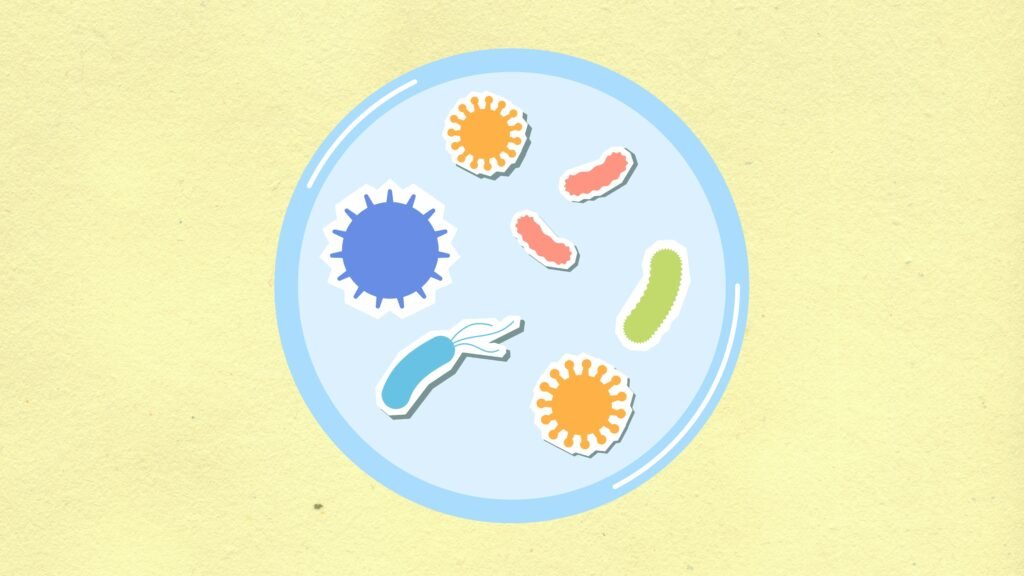 Cells in a dish