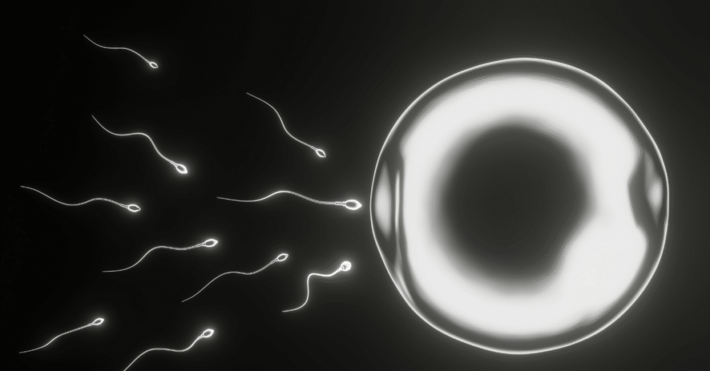 sperm motility