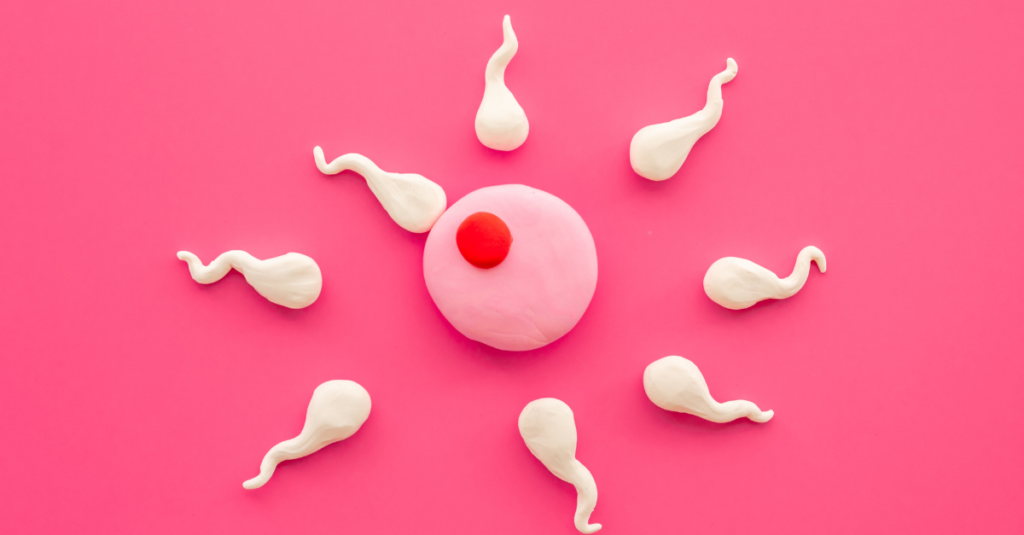 sperm and egg cellular decline