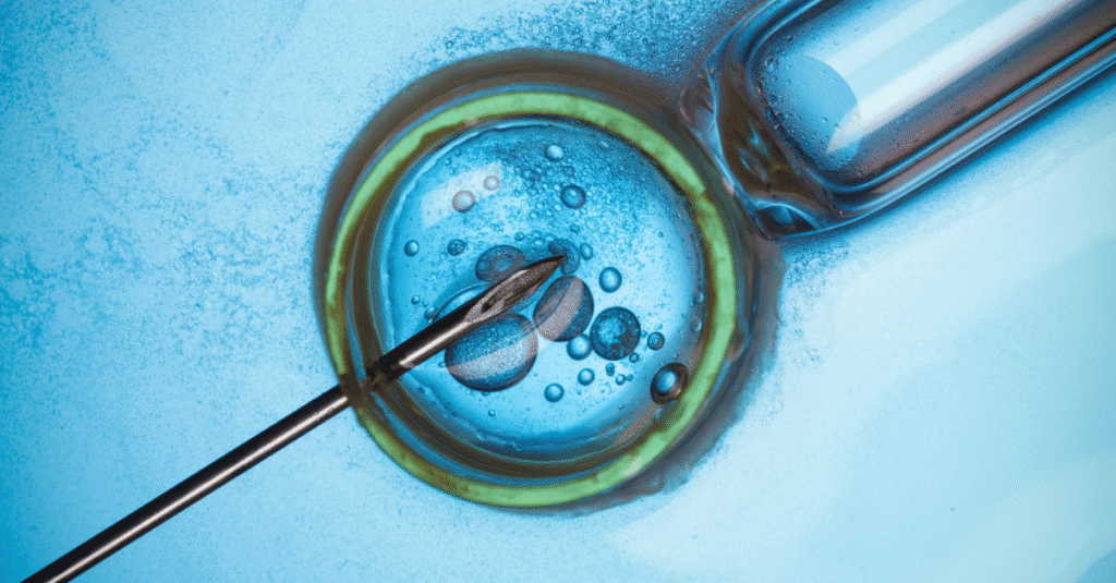 IVF Conception Testing